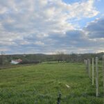 Алфа Агенти недвижими имоти Варна | Парцел, с.Детелина  