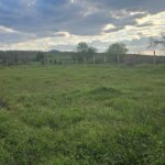 Алфа Агенти недвижими имоти Варна | Парцел, с.Детелина  
