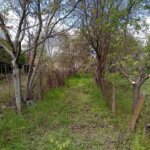 Алфа Агенти недвижими имоти Варна | КЪЩА С КЛАДЕНЕЦ В С. БЛЪСКОВО  